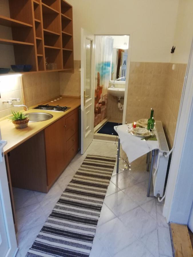 شقة Varosliget Apartman بودابست المظهر الخارجي الصورة